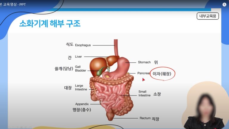 HK이노엔 내부 사내 교육 영상 크로마키 합성 및 PPT 화면 레이아웃 편집